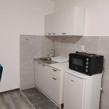 Stari Hrast 1 Apartment Prolomska Banja