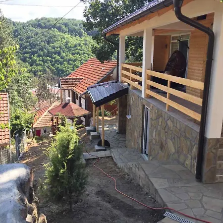 Stari Hrast 1 * Prolomska Banja