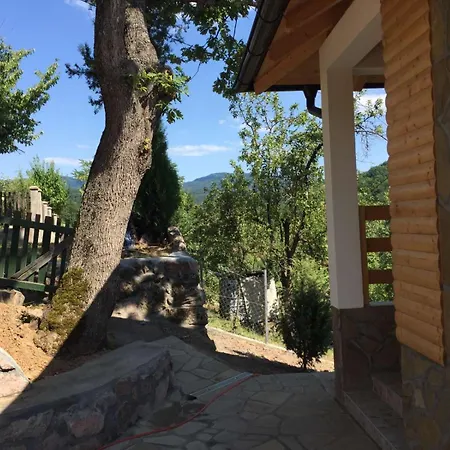 Stari Hrast 1 Prolomska Banja