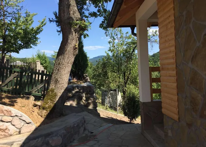 Stari Hrast 1 Prolomska Banja