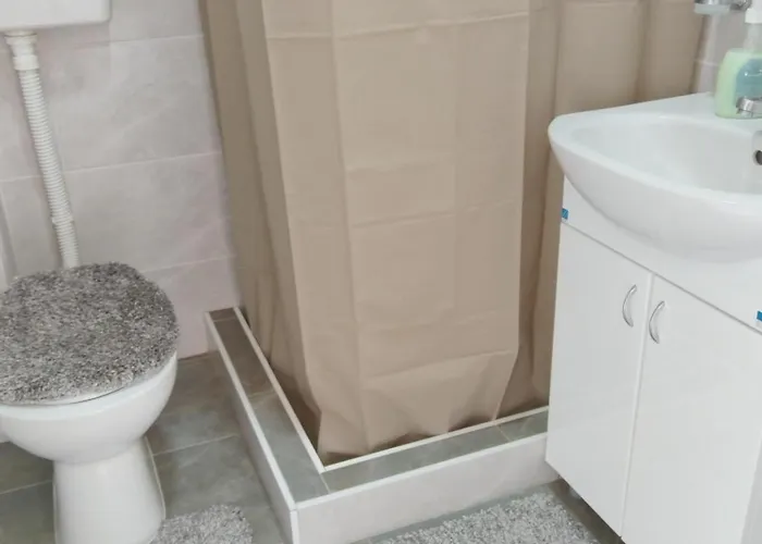 Stari Hrast 1 公寓 Prolomska Banja